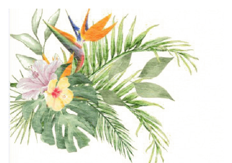 Arreglo floral tropical